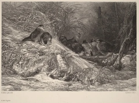 Karl Bodmer, A l'abri du givre