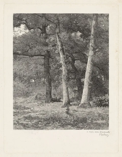 Karl Bodmer, A Forest Clearing