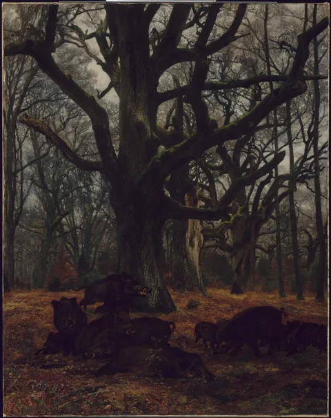 Karl Bodmer, Oaks and Wild Boars