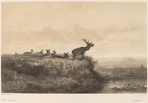 Karl Bodmer, Le Matin