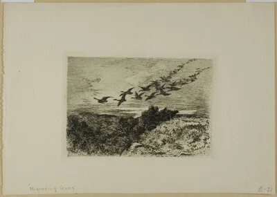 Karl Bodmer, Flying Geese
