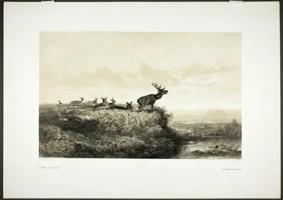 Karl Bodmer, The Morning: Stags and Does