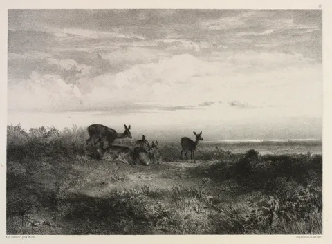 Karl Bodmer, Landscape with Deer