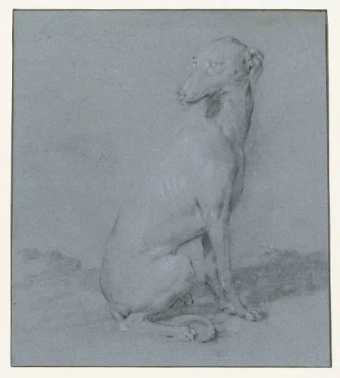 Frans Snyders, Een zittende hond, van opzij gezien