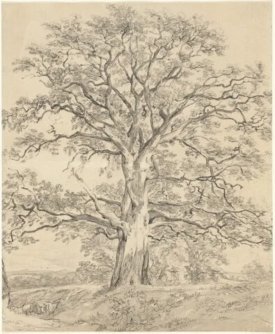 John Constable, A Great Oak Tree