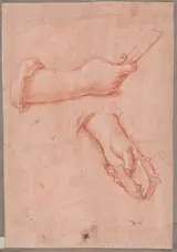 Jacob de Wit, Study of Two Hands