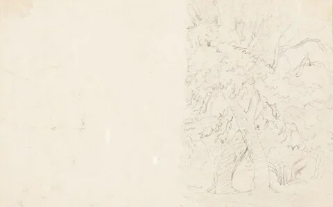 David Cox, Trees [verso]