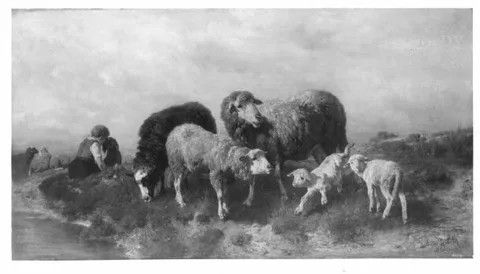 Anton Braith, Untitled