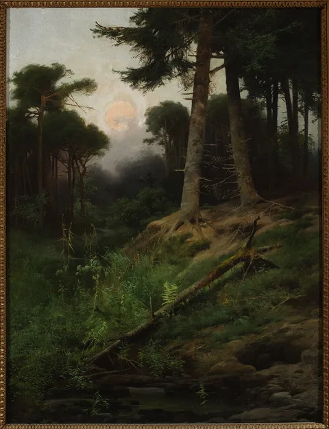 Tadeusz Popiel, Forest landscape at sunrise