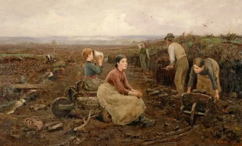 William Stewart MacGeorge, A Galloway Peat Moss