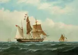 Richard Henry Nibbs, The barque Peerless