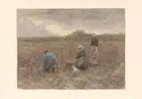 Anton Mauve, Aardappelrooiers