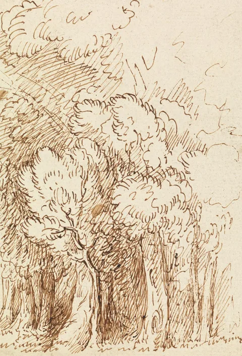 Benjamin West, Study of Trees