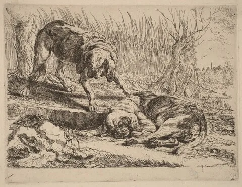 Jan Fyt, Two Beagles, One Sleeping