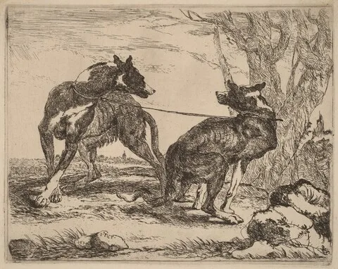 Jan Fyt, Two Greyhounds, Leashed and Facing Each Other