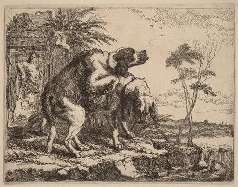 Jan Fyt, Two Dogs Copulating