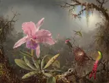 Martin Johnson Heade, Cattleya Orchid and Three Hummingbirds