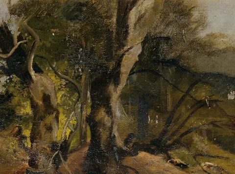 Josef Navrátil, Untitled