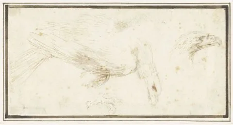 Stefano della Bella, Adelaar, naar rechts