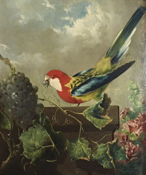 Philip Reinagle, Parakeet with Grapes and Hollyhocks