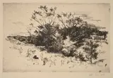 John Henry Twachtman, Autumn Avondale