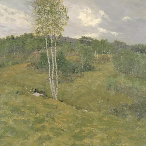Ben Foster, Birch-Clad Hills
