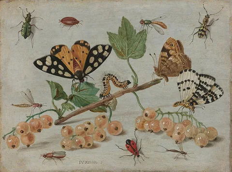 Jan van Kessel the Elder, Insects and Fruit
