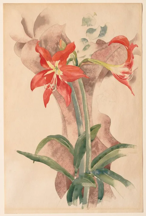 Charles Demuth, Amaryllis