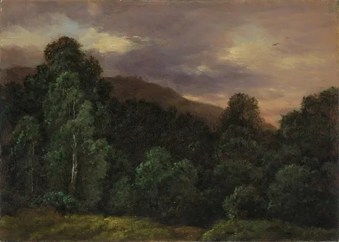 Carl Gustav Carus, Deciduous forest. Landscape with birds and trees