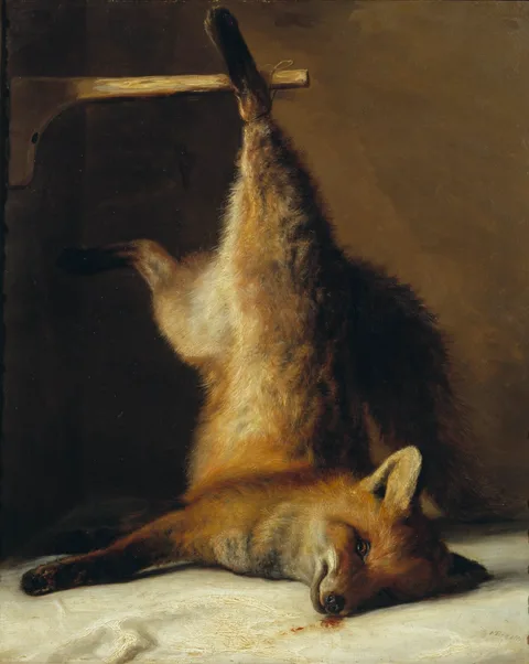 Frants Diderik Bøe, Dead Fox