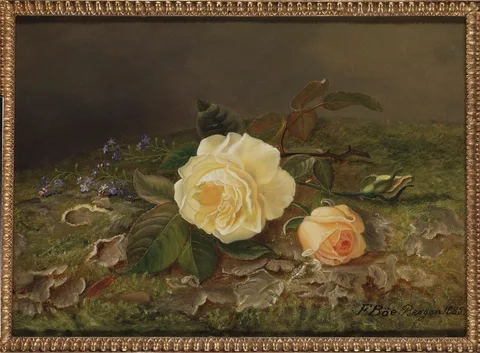 Frants Diderik Bøe, Yellow Roses