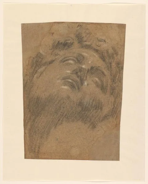 Jacopo Tintoretto, Hoofd van Giuliano dei Medici