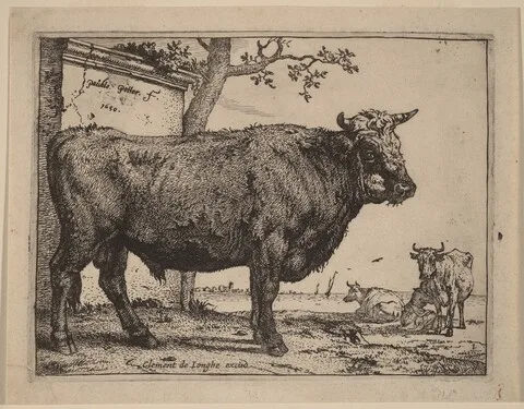 Paulus Potter, Bull