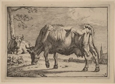Paulus Potter, Grazing Cow