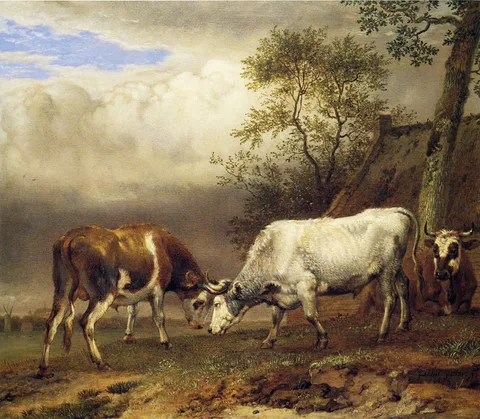Paulus Potter, Fighting Bulls