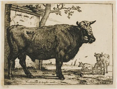 Paulus Potter, The Bull