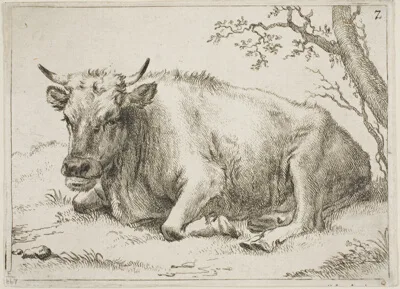Paulus Potter, Cow Lying Beside a Tree, plate 7 from Eight Bulls and Cows