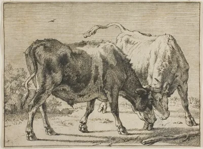 Paulus Potter, Two Bulls Fighting