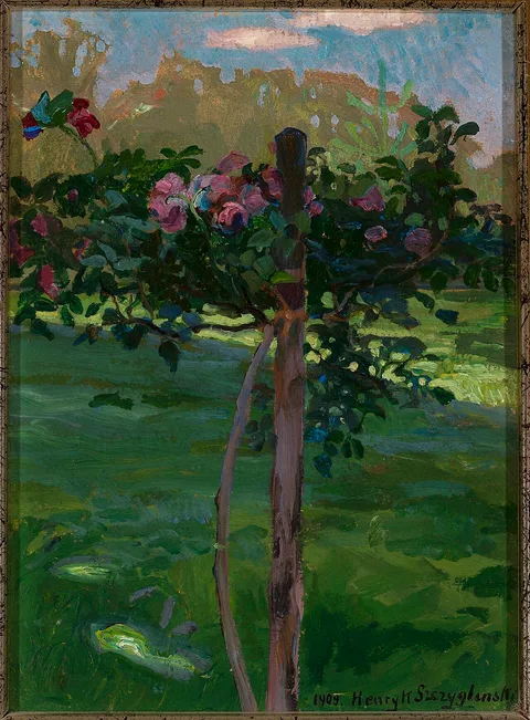Henryk Szczyglinski, Rose shrub
