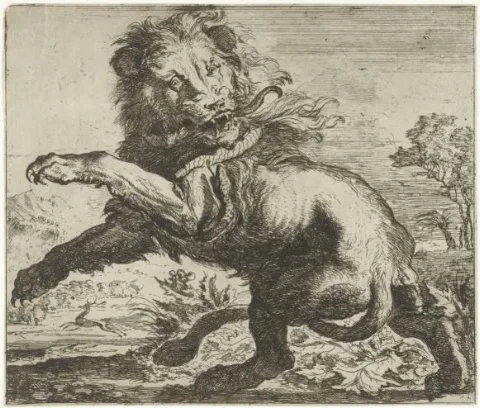 Abraham Hondius, Leeuw en slang in gevecht