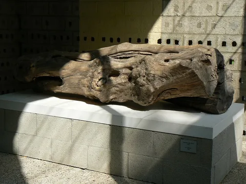 Herman de Vries, le témoin