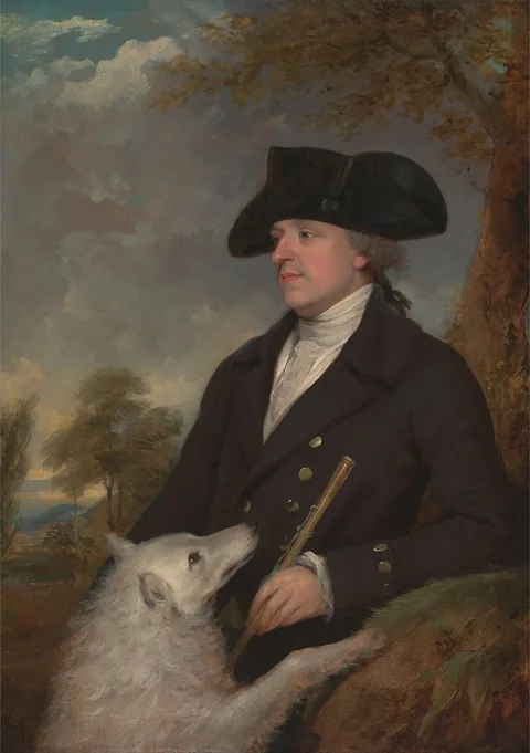 Francis Wheatley, Captain Steven