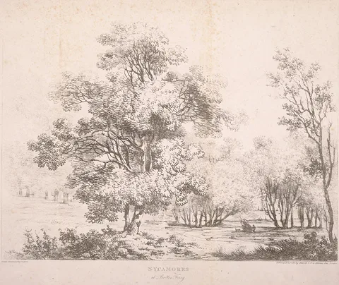 John Laporte, Sycamores at Britton Ferry