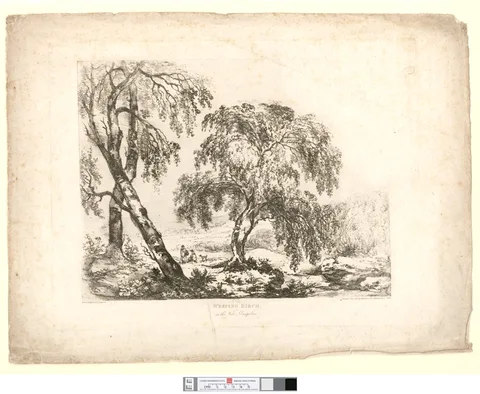 John Laporte, Weeping Birch, in the vale Llangollen