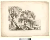John Laporte, Weeping Birch, in the vale Llangollen