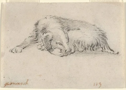 Jan Miel, Study of a Sleeping Dog
