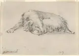 Jan Miel, Study of a Sleeping Dog
