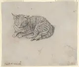 Jan Miel, Study of a Sleeping Cat