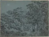 Simon de Vlieger, In the Hague Woods