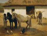 Otto von Thoren, Untitled
